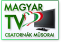 Magyar TV csatornk msorai - amelyek mr akr norml TV antenna s digitlis vev segtsgvel nzhetek